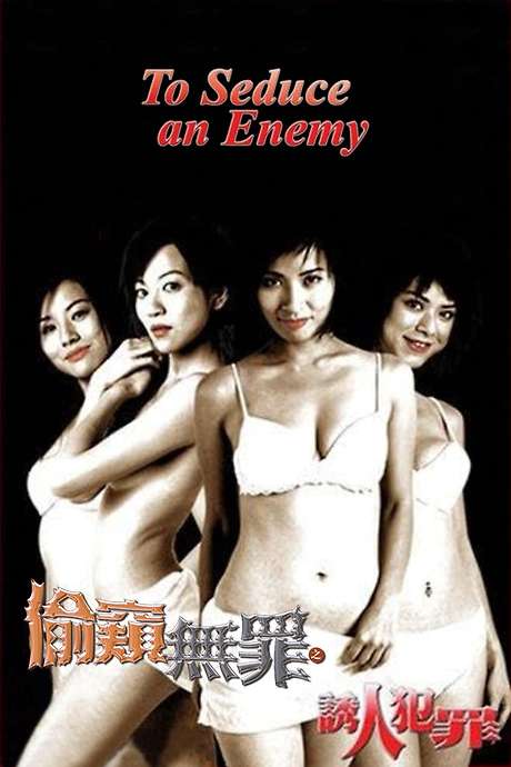 偷窥无罪2诱人犯罪 / To Seduce An Enemy 2003电影封面图/海报